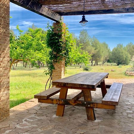 Gran Casa, Lagunas De Ruidera, Bbq, Porche, Chimenea Ngoại thất bức ảnh