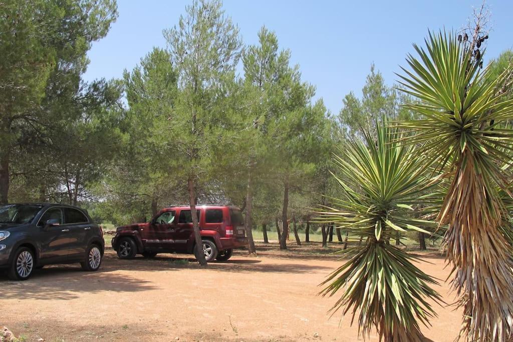 Gran Casa, Lagunas De Ruidera, Bbq, Porche, Chimenea Ngoại thất bức ảnh
